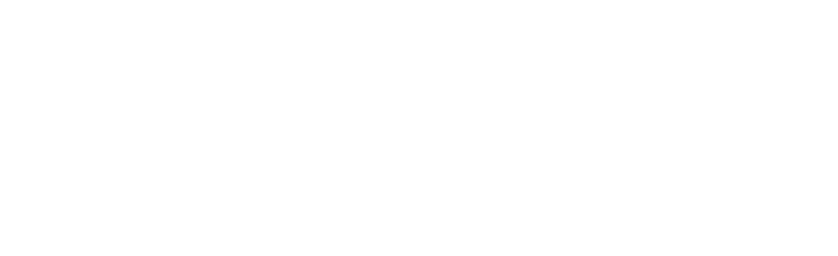 BalloonDogs Blog